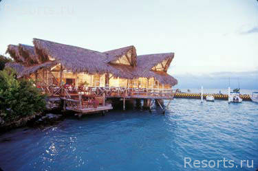 Punta Cana Resort and Club 17